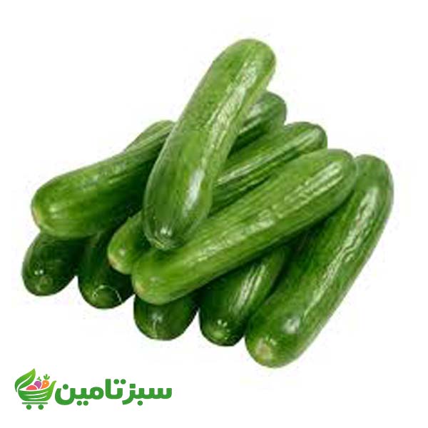 خیار